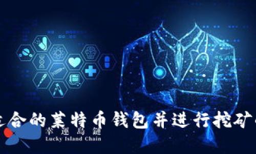 如何选择适合的莱特币钱包并进行挖矿的全面指南