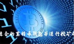 如何选择适合的莱特币钱