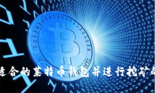 如何选择适合的莱特币钱包并进行挖矿的全面指南