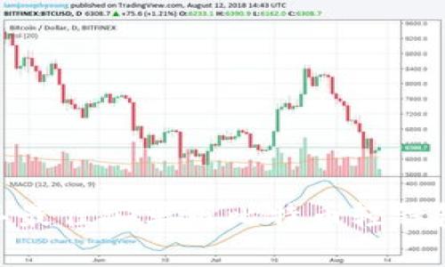 全面解析：2023年最佳安卓版比特币轻钱包推荐与使用指南