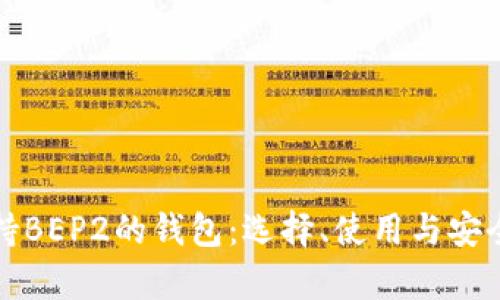 全面解析支持BEP2的钱包：选择、使用与安全性深度分析