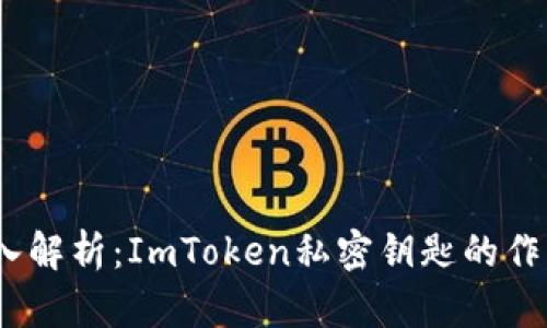 biasuti深入解析：ImToken私密钥匙的作用与安全性